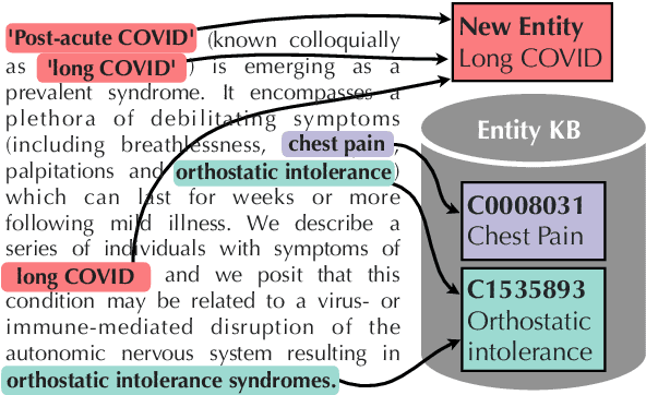 Figure 1 for Entity Linking and Discovery via Arborescence-based Supervised Clustering