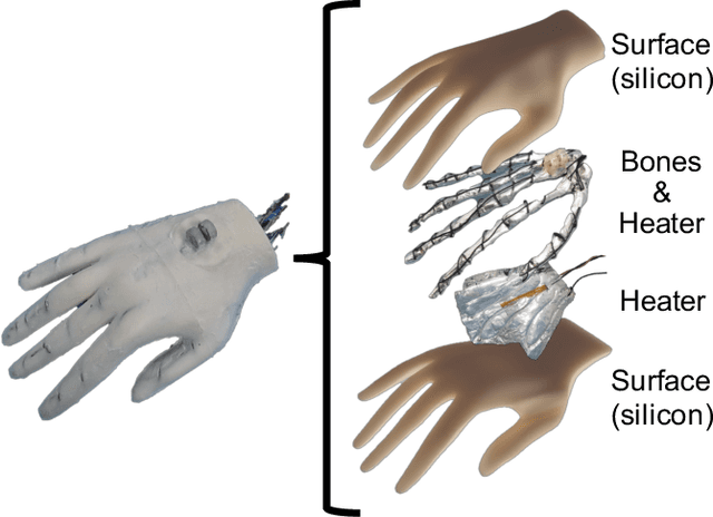 Figure 3 for Toward an Affective Touch Robot: Subjective and Physiological Evaluation of Gentle Stroke Motion Using a Human-Imitation Hand