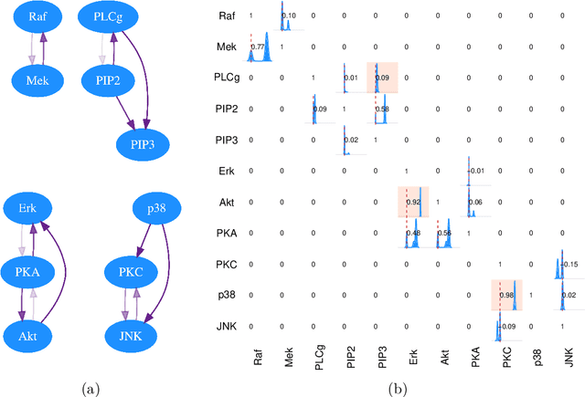Figure 4 for The interventional Bayesian Gaussian equivalent score for Bayesian causal inference with unknown soft interventions