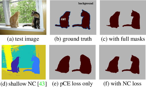 Figure 1 for Normalized Cut Loss for Weakly-supervised CNN Segmentation