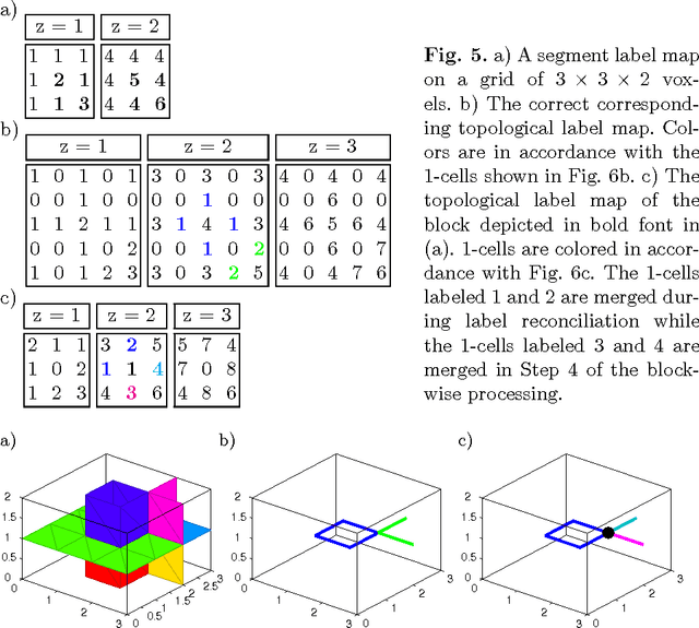 Figure 4 for How to Extract the Geometry and Topology from Very Large 3D Segmentations