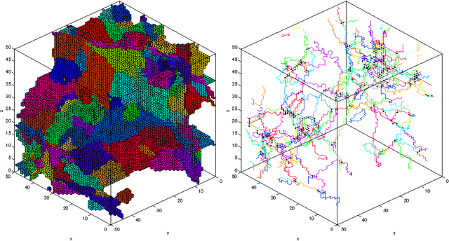 Figure 1 for How to Extract the Geometry and Topology from Very Large 3D Segmentations