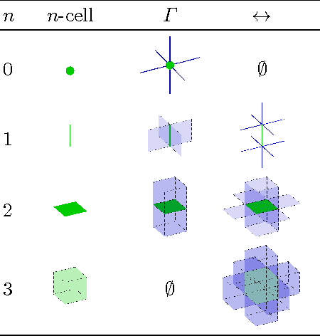 Figure 2 for How to Extract the Geometry and Topology from Very Large 3D Segmentations