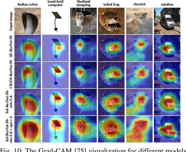 Figure 2 for Inner-Imaging Convolutional Networks