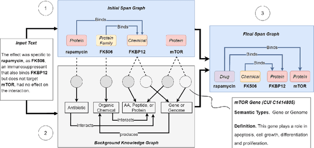 Figure 3 for Joint Biomedical Entity and Relation Extraction with Knowledge-Enhanced Collective Inference