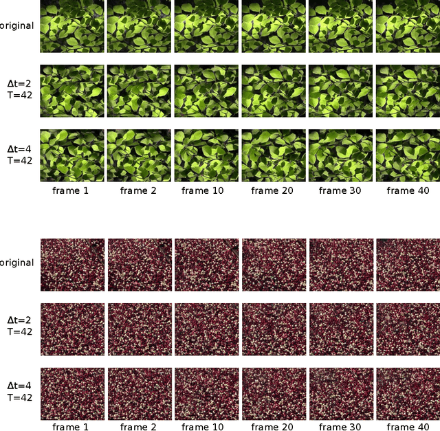 Figure 3 for Synthesising Dynamic Textures using Convolutional Neural Networks