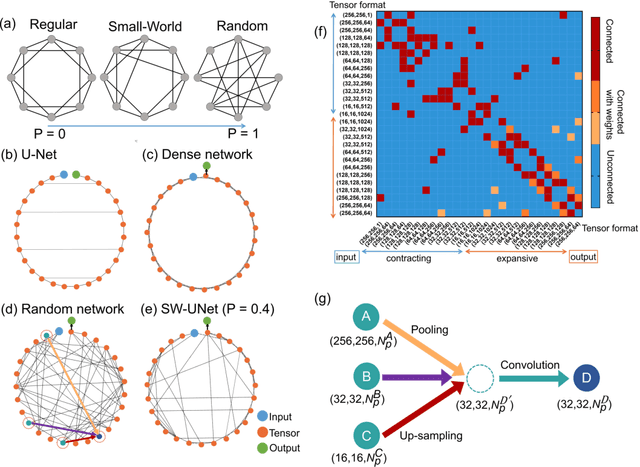 Figure 4 for Image based cellular contractile force evaluation with small-world network inspired CNN: SW-UNet