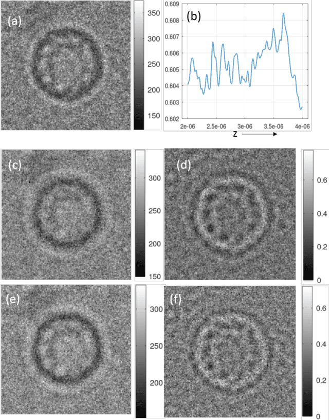 Figure 2 for Quantitative phase imaging of single particles from a cryoEM micrograph