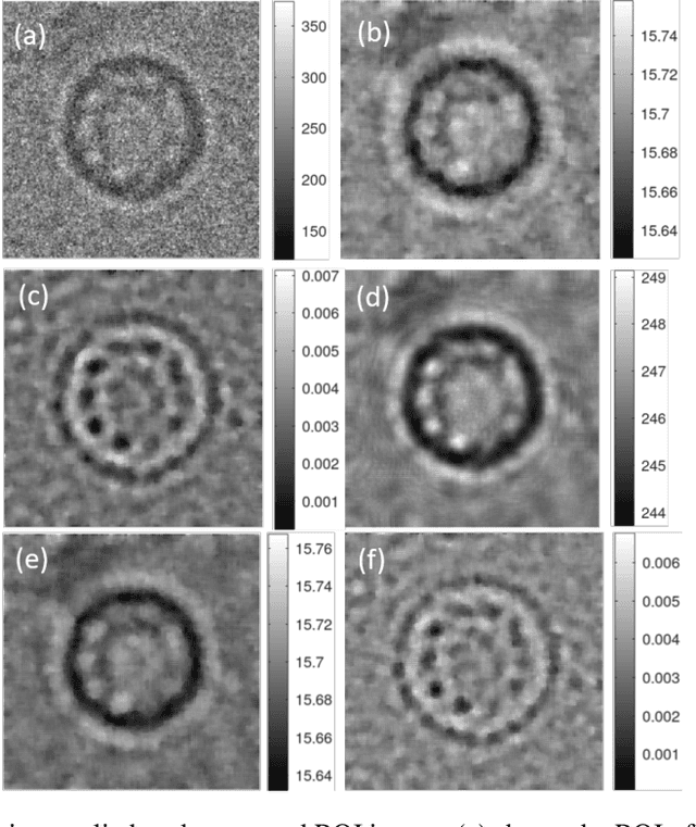 Figure 3 for Quantitative phase imaging of single particles from a cryoEM micrograph
