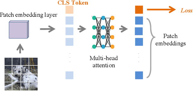 Figure 1 for Improve Vision Transformers Training by Suppressing Over-smoothing