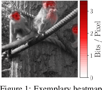 Figure 1 for Restricting the Flow: Information Bottlenecks for Attribution