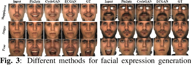 Figure 4 for Expression Conditional GAN for Facial Expression-to-Expression Translation
