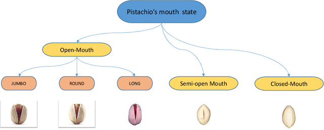 Figure 1 for Introduction of a new Dataset and Method for Detecting and Counting the Pistachios based on Deep Learning