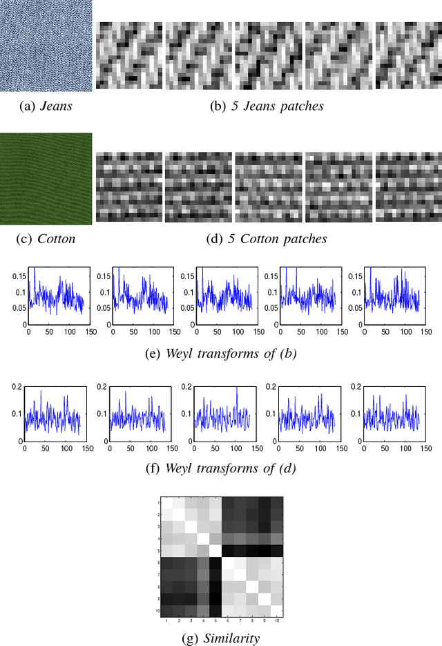 Figure 1 for Data Representation using the Weyl Transform