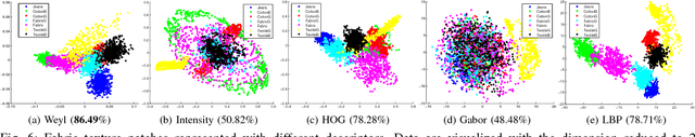 Figure 4 for Data Representation using the Weyl Transform