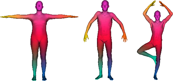 Figure 1 for A Riemannian Framework for Analysis of Human Body Surface