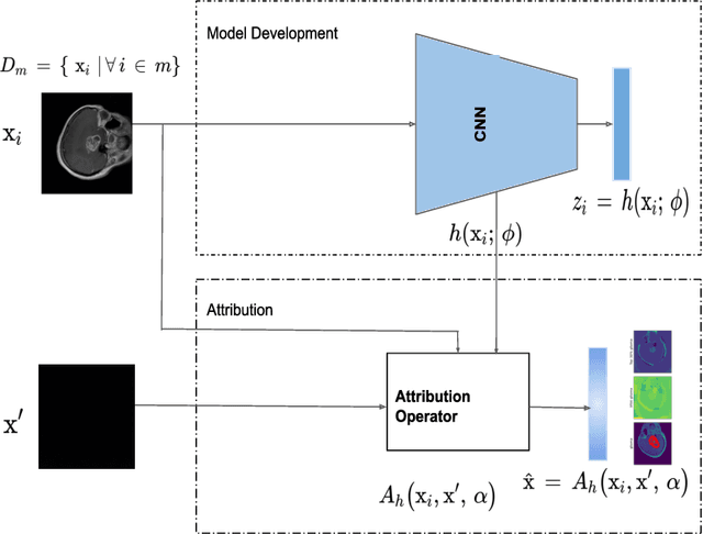 Figure 2 for What do Deep Neural Networks Learn in Medical Images?