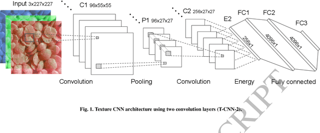 Figure 1 for Using Filter Banks in Convolutional Neural Networks for Texture Classification