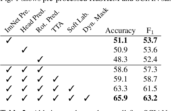 Figure 4 for Improving Human Sperm Head Morphology Classification with Unsupervised Anatomical Feature Distillation