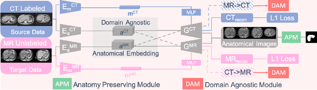 Figure 3 for Domain-Agnostic Learning with Anatomy-Consistent Embedding for Cross-Modality Liver Segmentation