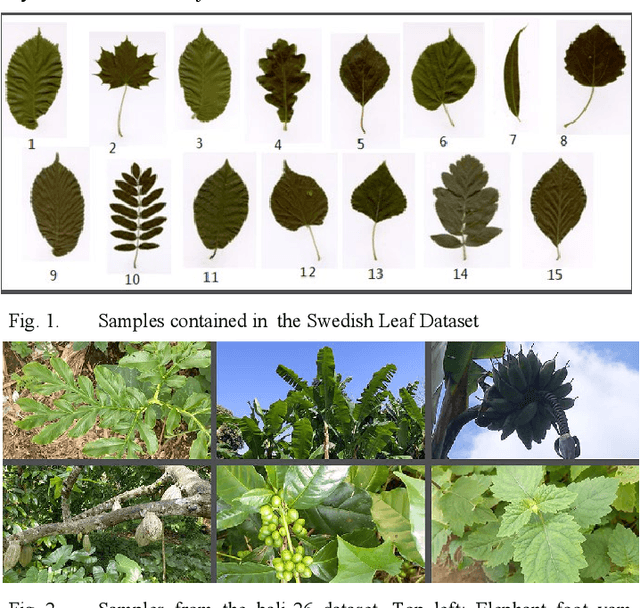 Figure 2 for From images in the wild to video-informed image classification