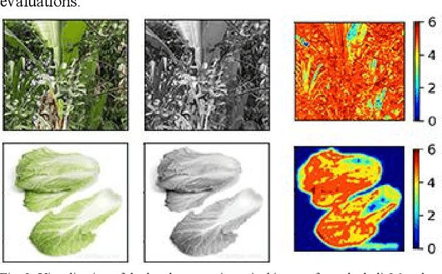 Figure 4 for From images in the wild to video-informed image classification