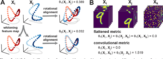 Figure 3 for Generalized Shape Metrics on Neural Representations