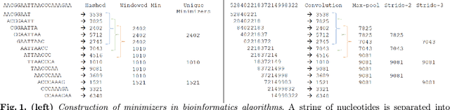 Figure 1 for On minimizers and convolutional filters: a partial justification for the unreasonable effectiveness of CNNs in categorical sequence analysis