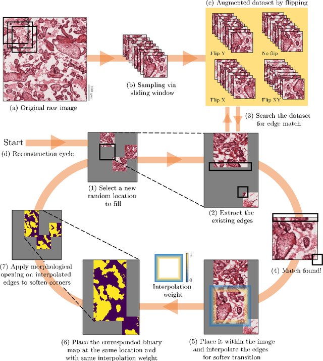 Figure 3 for Automated segmentation and morphological characterization of placental histology images based on a single labeled image