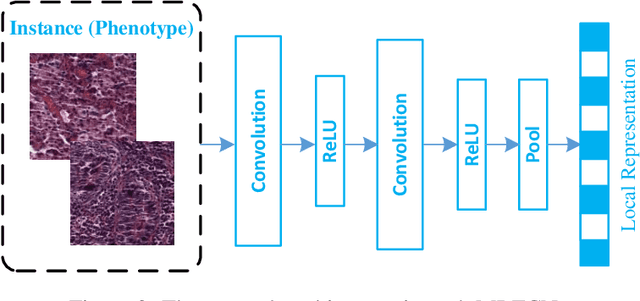Figure 4 for Whole Slide Images based Cancer Survival Prediction using Attention Guided Deep Multiple Instance Learning Networks