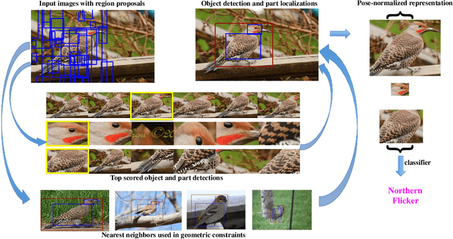 Figure 1 for Part-based R-CNNs for Fine-grained Category Detection