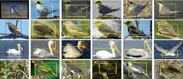 Figure 3 for Part-based R-CNNs for Fine-grained Category Detection