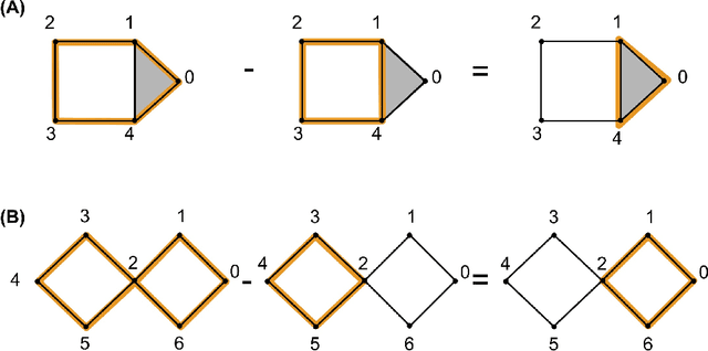 Figure 3 for Minimal Cycle Representatives in Persistent Homology using Linear Programming: an Empirical Study with User's Guide