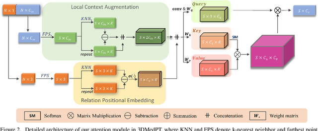 Figure 4 for 3D Medical Point Transformer: Introducing Convolution to Attention Networks for Medical Point Cloud Analysis