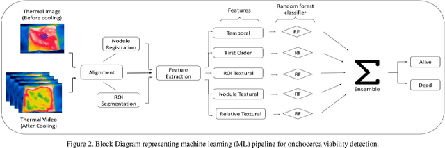 Figure 2 for Evaluation of Non-Invasive Thermal Imaging for detection of Viability of Onchocerciasis worms