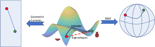 Figure 1 for Classifying Organisms and Artefacts By Their Shapes