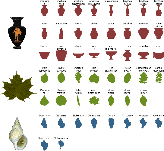 Figure 2 for Classifying Organisms and Artefacts By Their Shapes