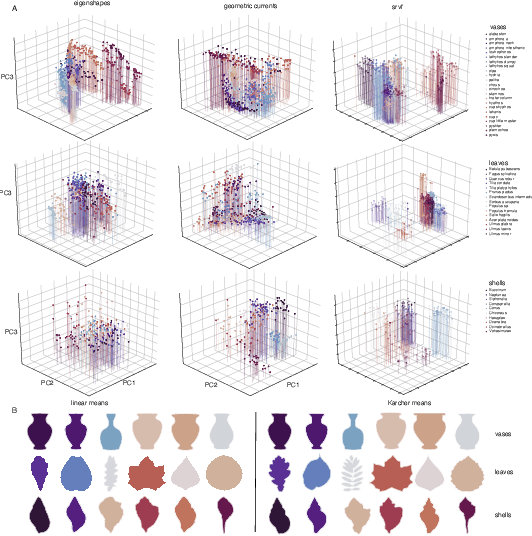 Figure 4 for Classifying Organisms and Artefacts By Their Shapes