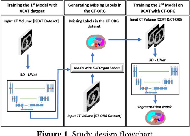 Figure 1 for Quality or Quantity: Toward a Unified Approach for Multi-organ Segmentation in Body CT