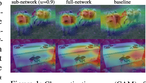 Figure 1 for GradAug: A New Regularization Method for Deep Neural Networks