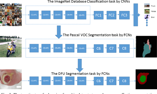 Figure 3 for Fully Convolutional Networks for Diabetic Foot Ulcer Segmentation