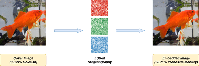 Figure 1 for BASN -- Learning Steganography with Binary Attention Mechanism