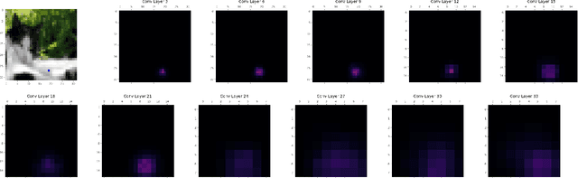 Figure 4 for Understanding the One-Pixel Attack: Propagation Maps and Locality Analysis
