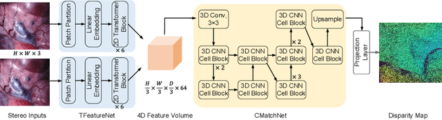 Figure 1 for Deep Laparoscopic Stereo Matching with Transformers