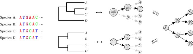 Figure 1 for A Variational Approach to Bayesian Phylogenetic Inference