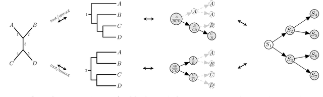 Figure 3 for A Variational Approach to Bayesian Phylogenetic Inference