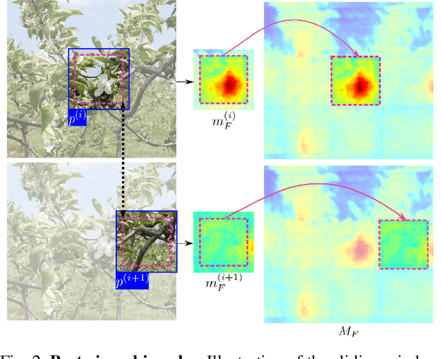 Figure 3 for Multispecies fruit flower detection using a refined semantic segmentation network