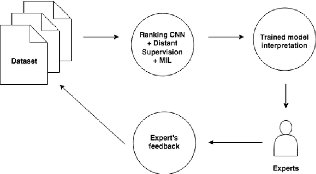Figure 1 for Making Efficient Use of a Domain Expert's Time in Relation Extraction