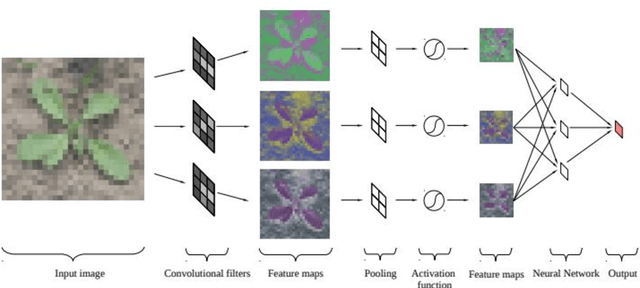Figure 1 for Deep learning, machine vision in agriculture in 2021