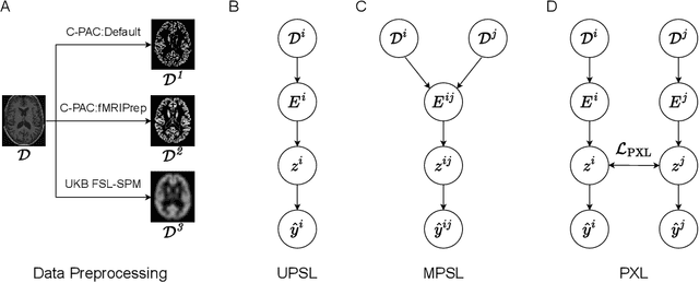 Figure 1 for Pipeline-Invariant Representation Learning for Neuroimaging